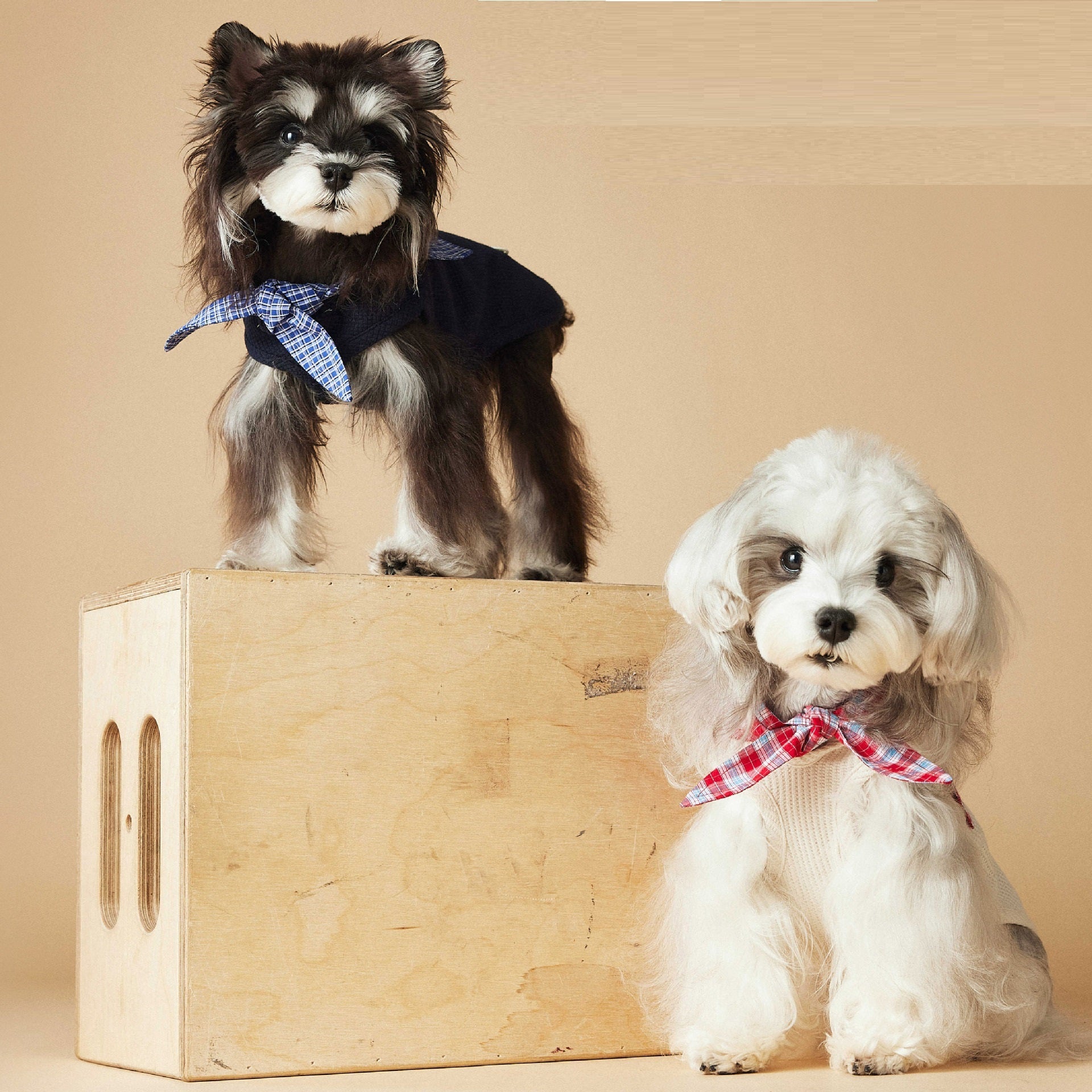 KFX-4096829 Sailor Collar Sleeveless Vest for Schnauzer, Bichon, Yorkshire, and Sausage Dogs in Dark Blue and Beige