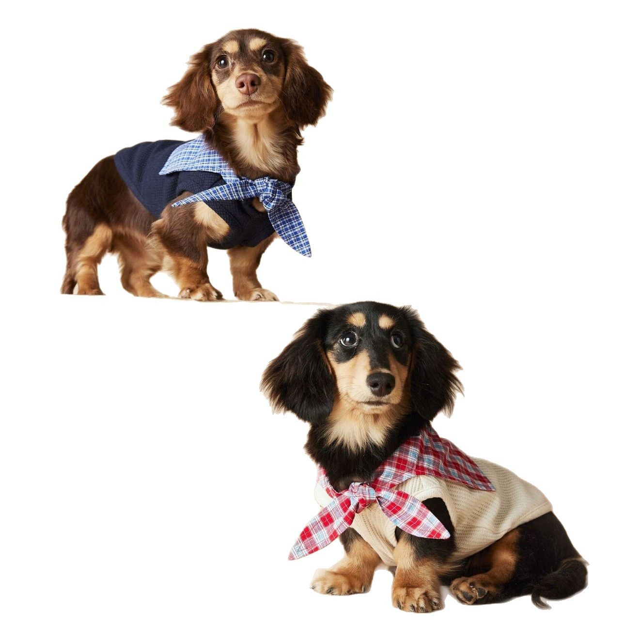 KFX-4096829 Sailor Collar Sleeveless Vest for Schnauzer, Bichon, Yorkshire, and Sausage Dogs in Dark Blue and Beige