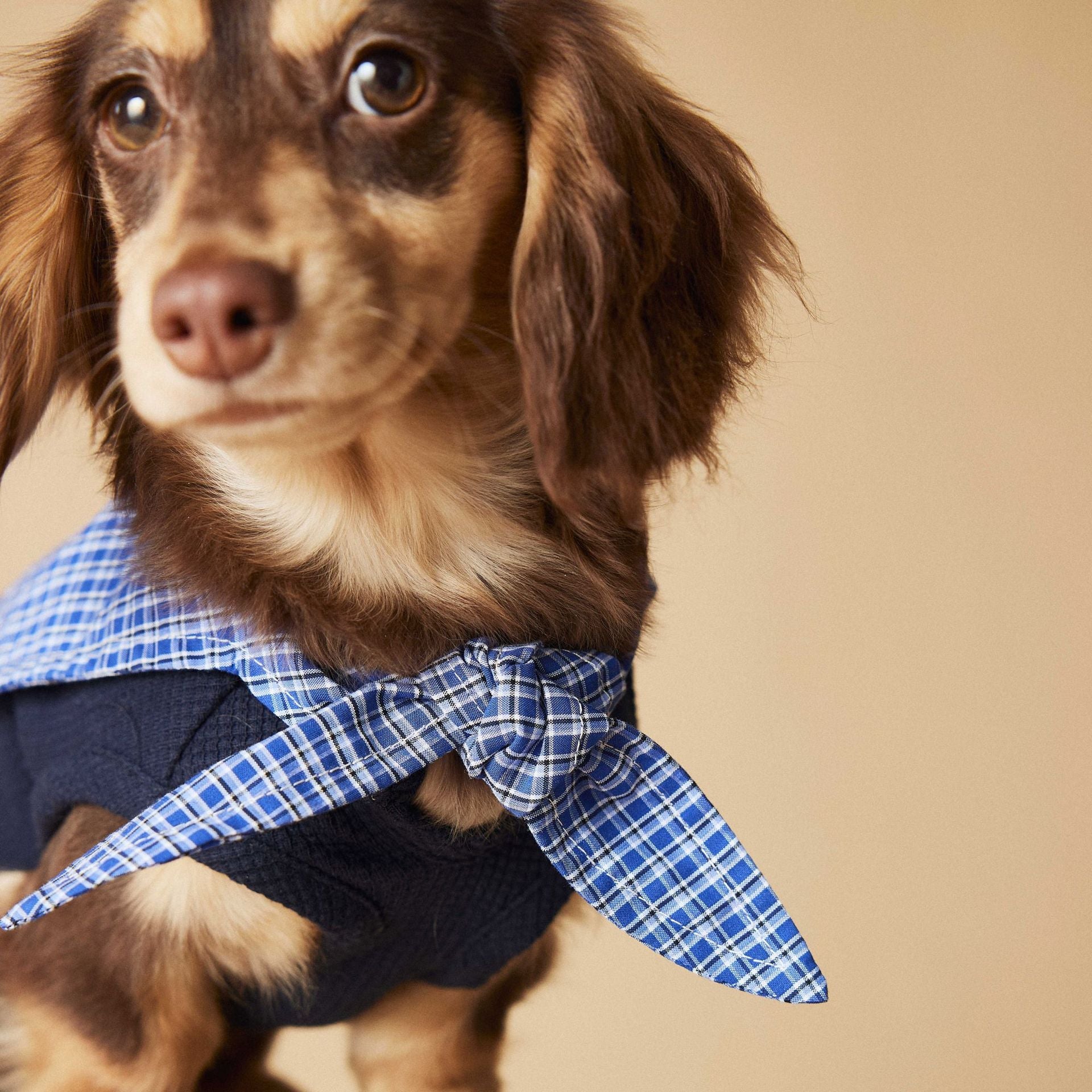 KFX-4096829 Sailor Collar Sleeveless Vest for Schnauzer, Bichon, Yorkshire, and Sausage Dogs in Dark Blue and Beige