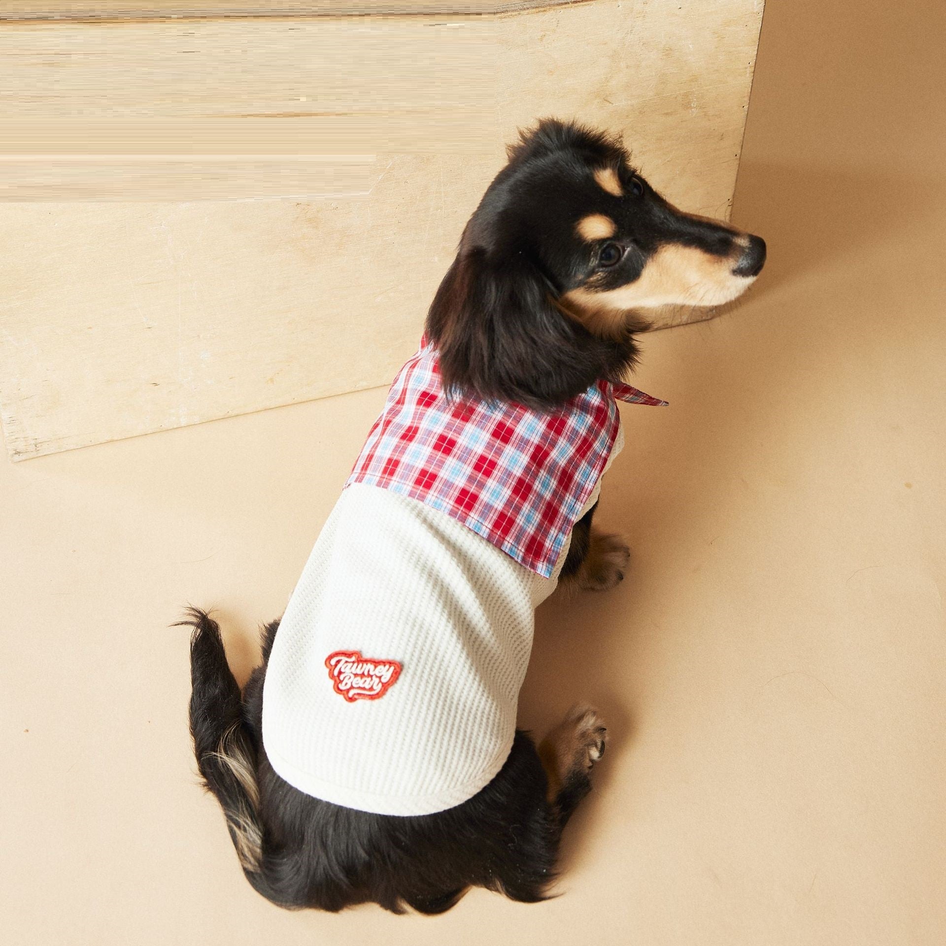 KFX-4096829 Sailor Collar Sleeveless Vest for Schnauzer, Bichon, Yorkshire, and Sausage Dogs in Dark Blue and Beige