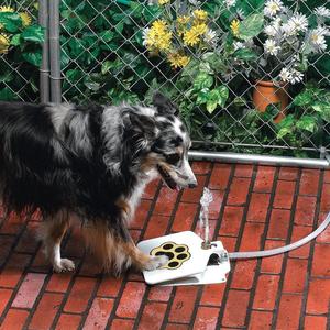 KFX-4097085 Outdoor Pet Water Fountain with Hose Attachment and Paw Pad Activation