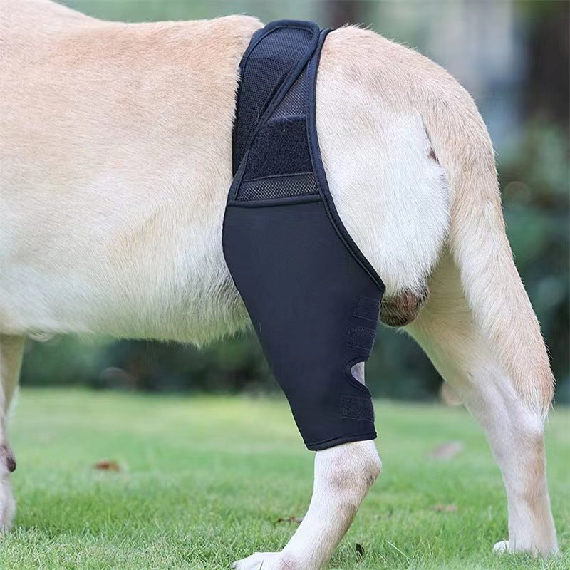 KFX-4098621 Dog Leg Support Protector with Adjustable Straps for Front and Rear Leg Injuries, Stabilizing Knee Brace