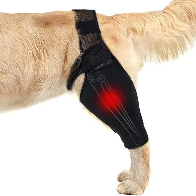 KFX-4098621 Dog Leg Support Protector with Adjustable Straps for Front and Rear Leg Injuries, Stabilizing Knee Brace