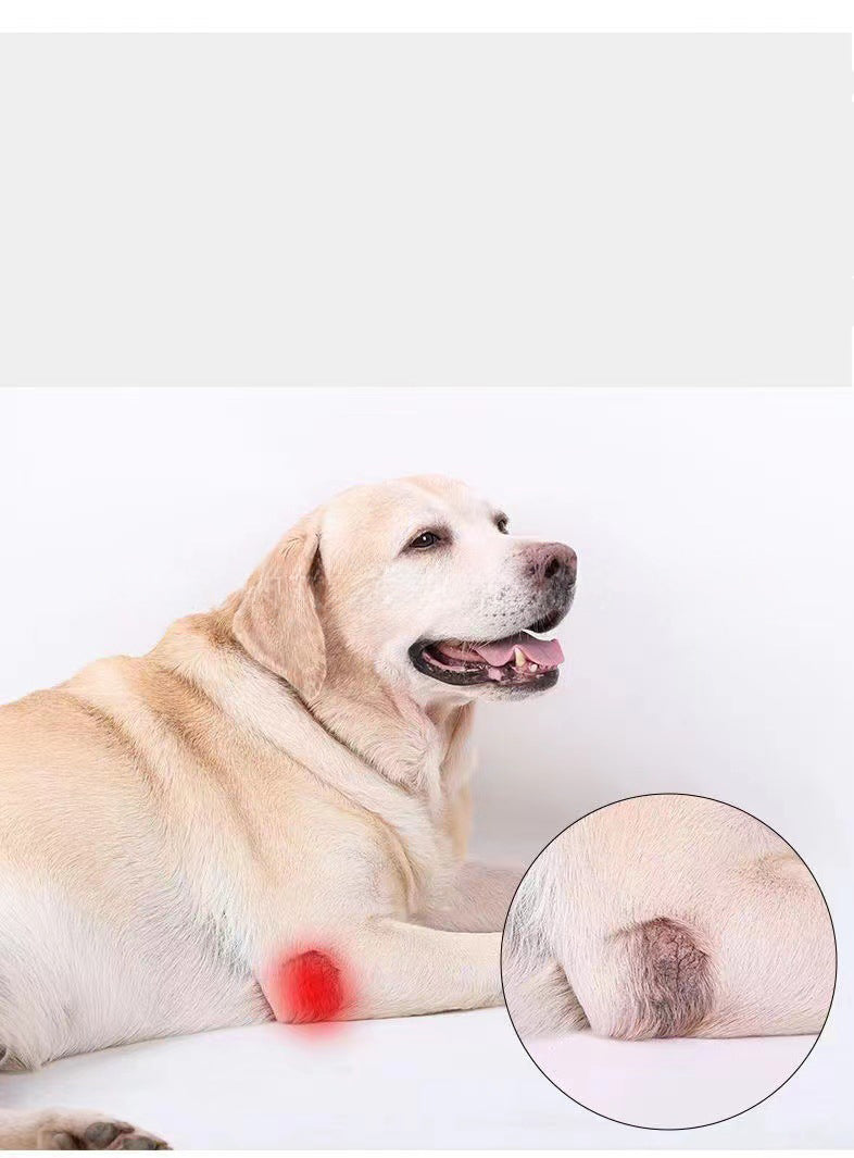 KFX-4098621 Dog Leg Support Protector with Adjustable Straps for Front and Rear Leg Injuries, Stabilizing Knee Brace