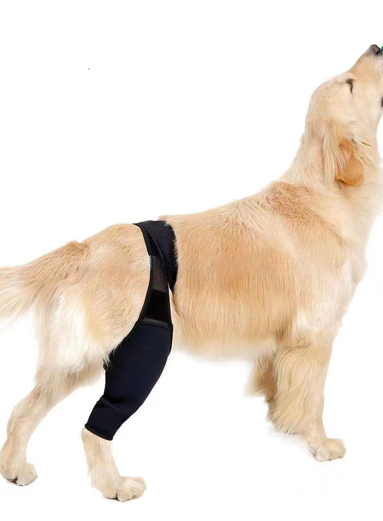 KFX-4098621 Dog Leg Support Protector with Adjustable Straps for Front and Rear Leg Injuries, Stabilizing Knee Brace