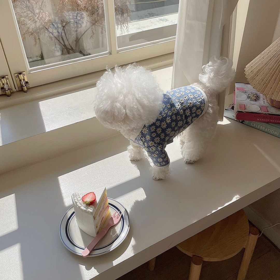 KFX-4099389 Cute Pet Dog Dress with Daisy Flower Print in Blue and Purple, Comfortable Tutu Style, Multiple Sizes Available