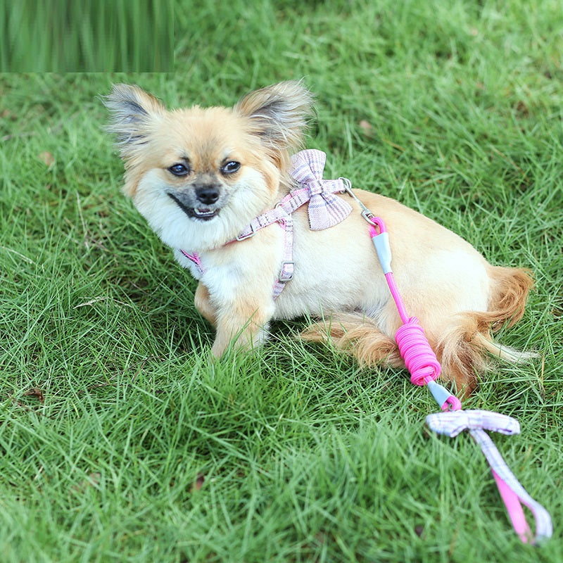 KFX-4100797 Adjustable Nylon and Cotton Dog Leash for All Breeds, 1.0/1.5m, Available in Multiple Colors