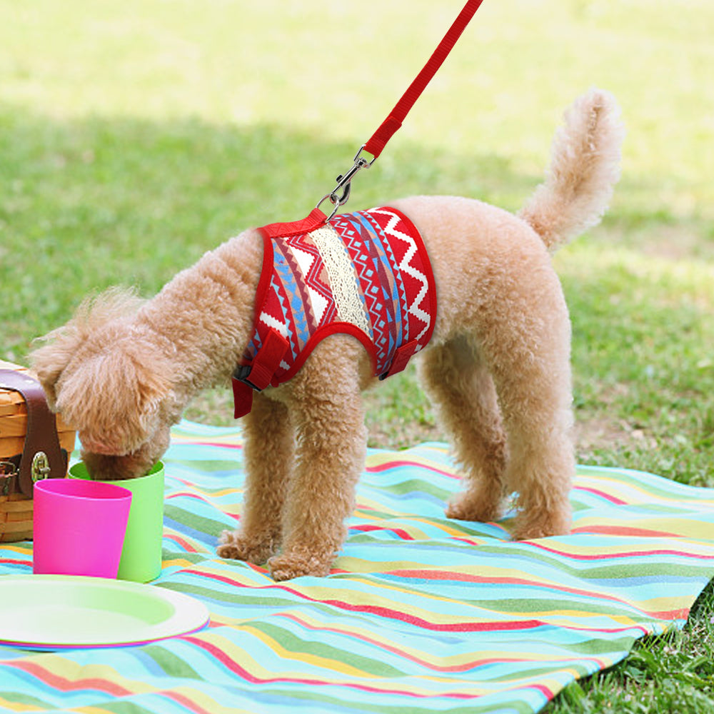 KFX-4105149 Ethnic Style Dog Leash and Chest Strap Suit - Nylon Material, Polka-Dot Design