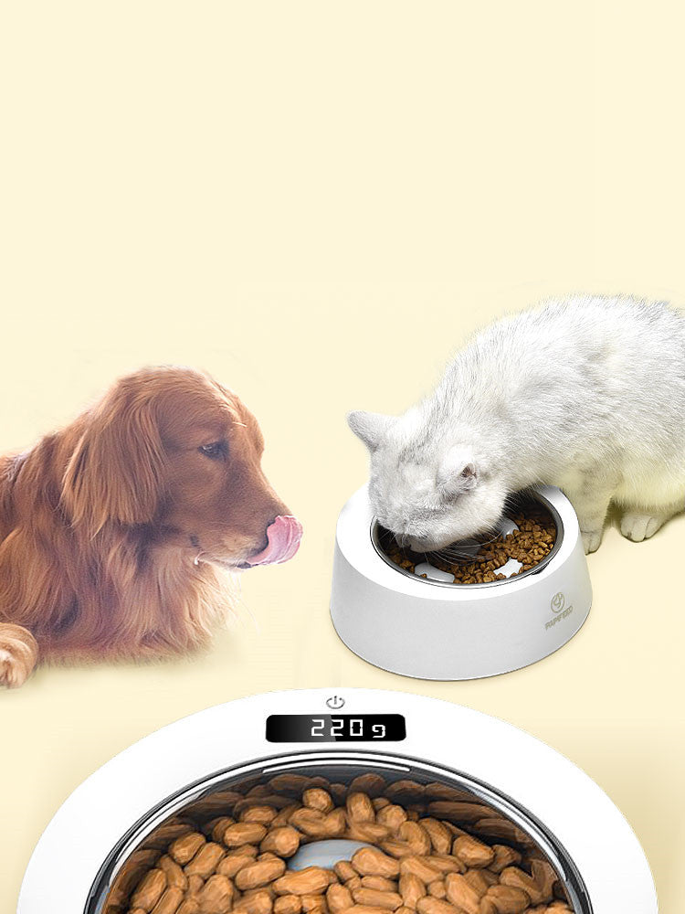 KFX-4106941 Stainless Steel Anti-Tipping Bowl for Weighing Pets – 500g Capacity
