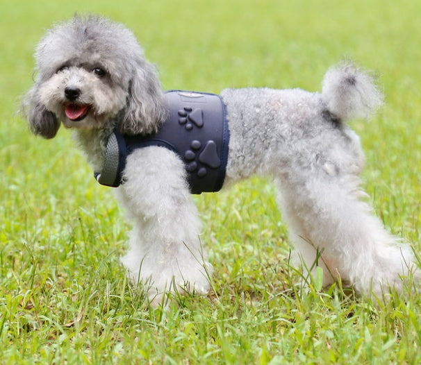 KFX-4111805 Comfortable Dog Vest with Shock-Absorbing Chest Cover and Breathable Mesh Design