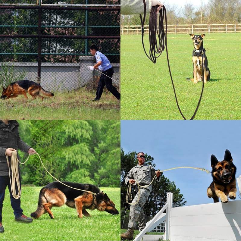 KFX-4112317 Adjustable Dog Training Belt - Available in Beige and Coffee, Lengths from 3m to 20m, 0.8cm Diameter