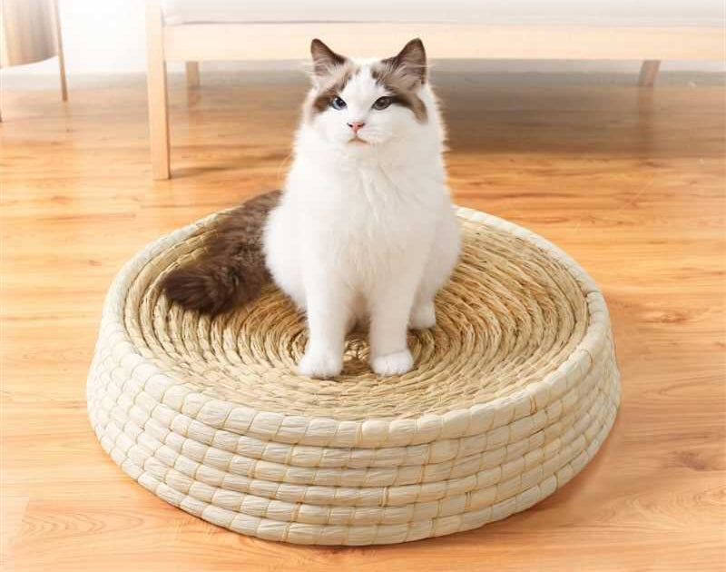 KFX-4118461 Universal Knitted Cat Litter Scratcher - Various Sizes for Cats Up to 12 Catties