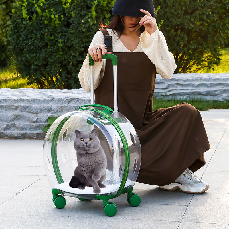 KFX-4120509 Transparent Space Capsule Pet Trolley Bag - Geometric Pattern, Medium Hard Material, 7.5kg Capacity