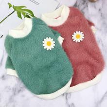 KFX-4120637 Daisy Plush Crew Neck Dog and Cat Apparel for Autumn and Winter