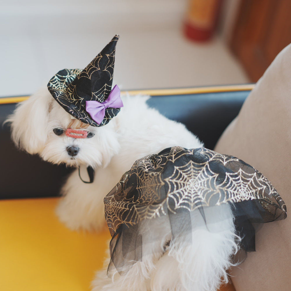 KFX-4123069 Spider Web Hat and Shawl Set for Pets - Halloween Costume Accessories in Various Sizes