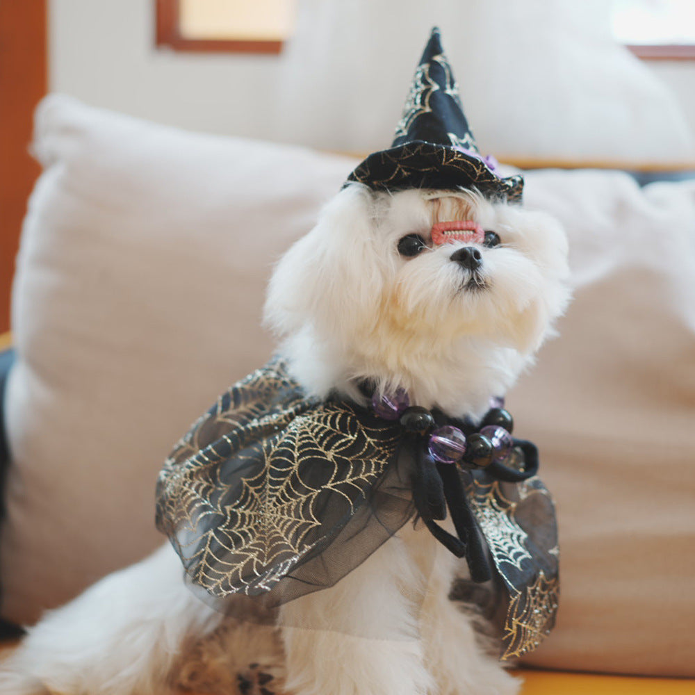KFX-4123069 Spider Web Hat and Shawl Set for Pets - Halloween Costume Accessories in Various Sizes