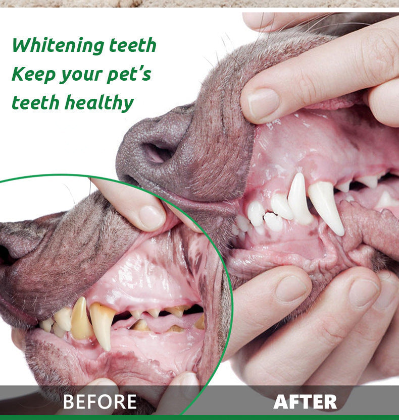 KFX-4125885 Edible Seaweed Tooth Cleaning Powder for Fresh Breath - 100g