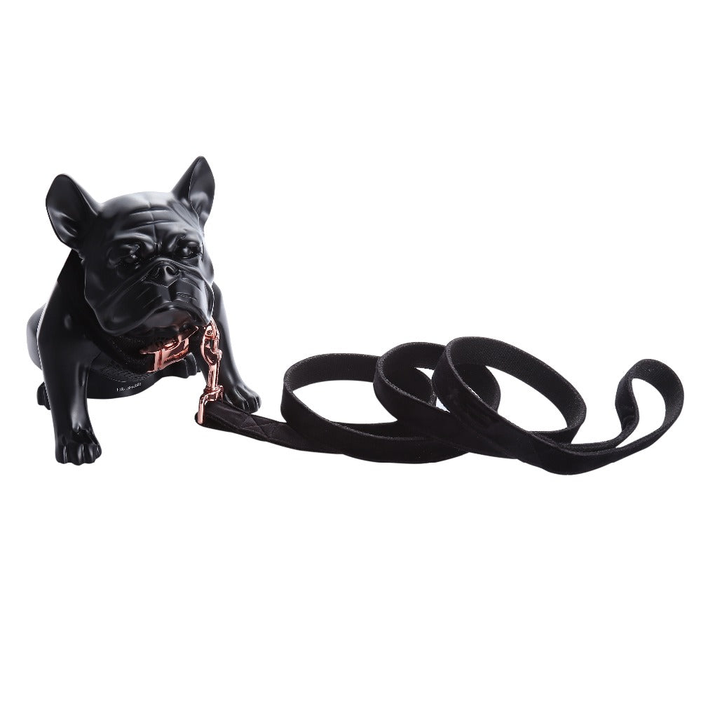 KFX-4133565 Stylish Black Soft Collar and Leash Set with Bow Tie for Dogs and Cats