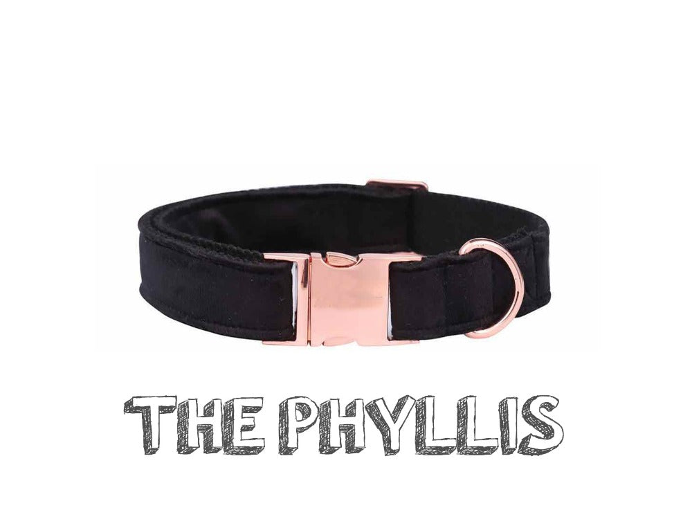 KFX-4133565 Stylish Black Soft Collar and Leash Set with Bow Tie for Dogs and Cats