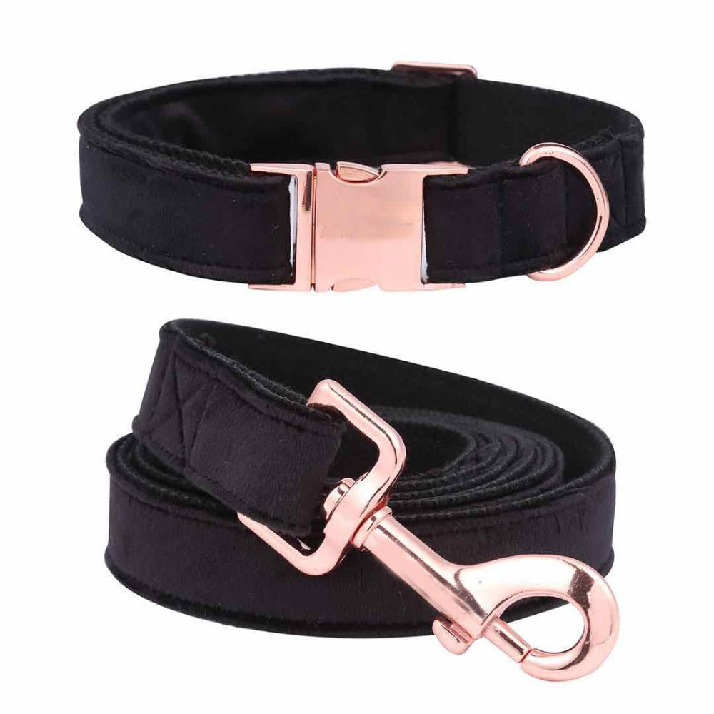 KFX-4133565 Stylish Black Soft Collar and Leash Set with Bow Tie for Dogs and Cats