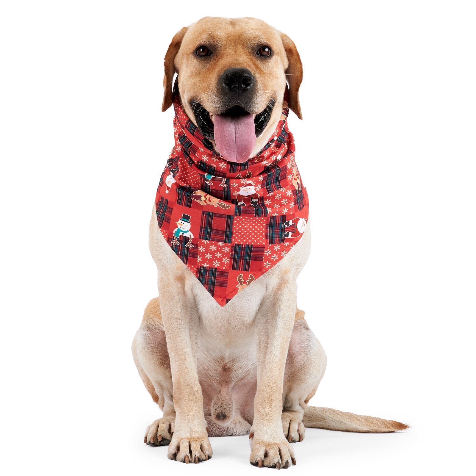 KFX-4137149 Stylish Velvet Dog Headscarf in Halloween Red and Green - Available in Sizes S, M, L