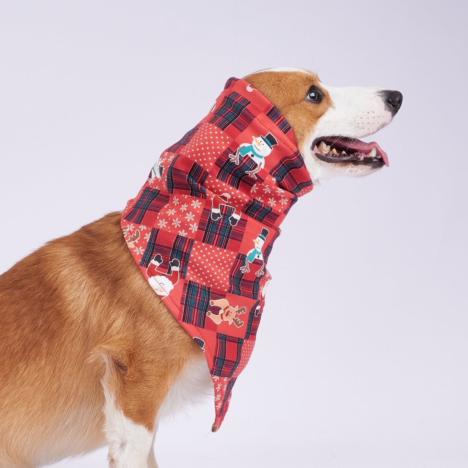 KFX-4137149 Stylish Velvet Dog Headscarf in Halloween Red and Green - Available in Sizes S, M, L