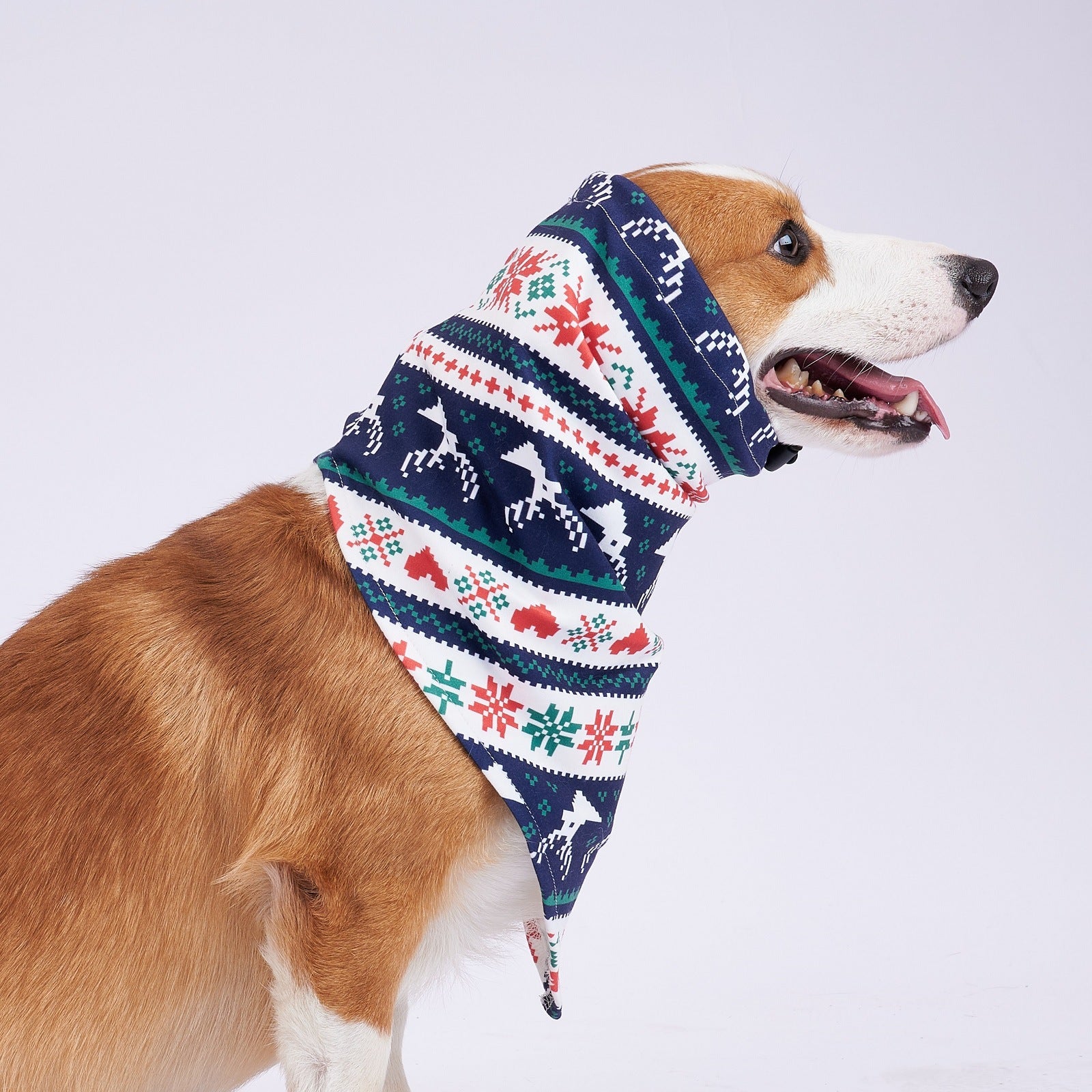 KFX-4137149 Stylish Velvet Dog Headscarf in Halloween Red and Green - Available in Sizes S, M, L