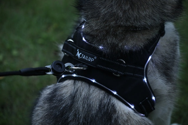KFX-4150333 LED Dog Harness for Medium and Large Dogs - Oxford Cloth, Scalable, Night Travel Safe