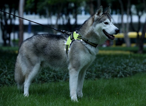 KFX-4150333 LED Dog Harness for Medium and Large Dogs - Oxford Cloth, Scalable, Night Travel Safe