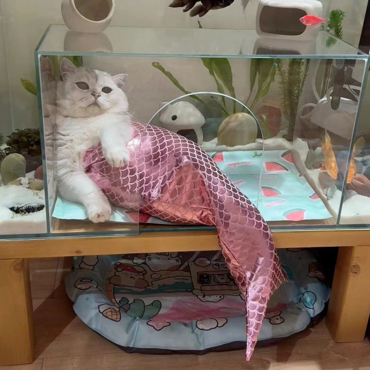 KFX-4155069 Pink Mermaid Tail Fishtail Cat Costume - Available in Sizes S, M, L, Made of Polyester, Japanese and Korean Style