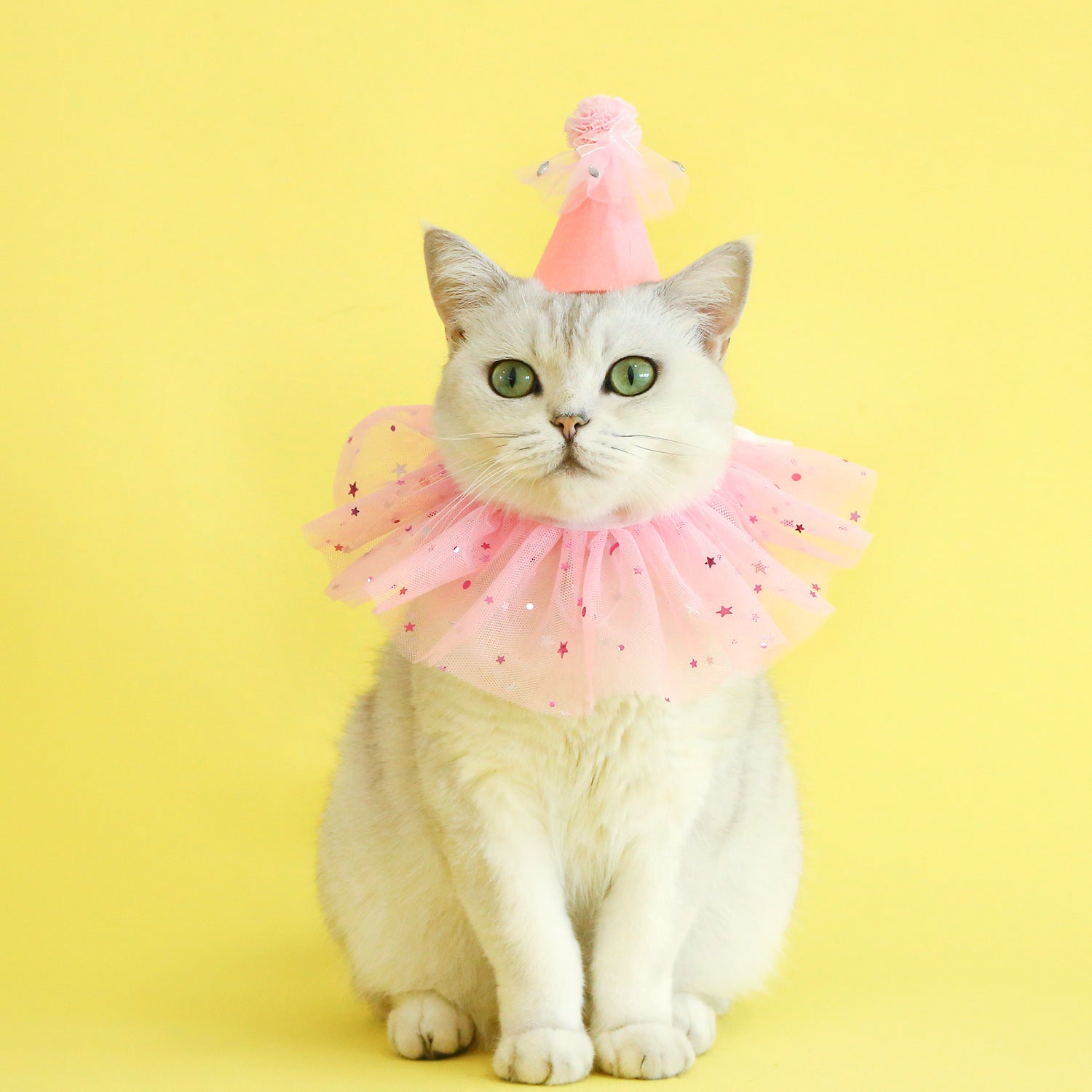 KFX-4155837 Rhinestone Two-Piece Cat Outfit with Bib and Hat - Available in Pink, Blue, and Yellow