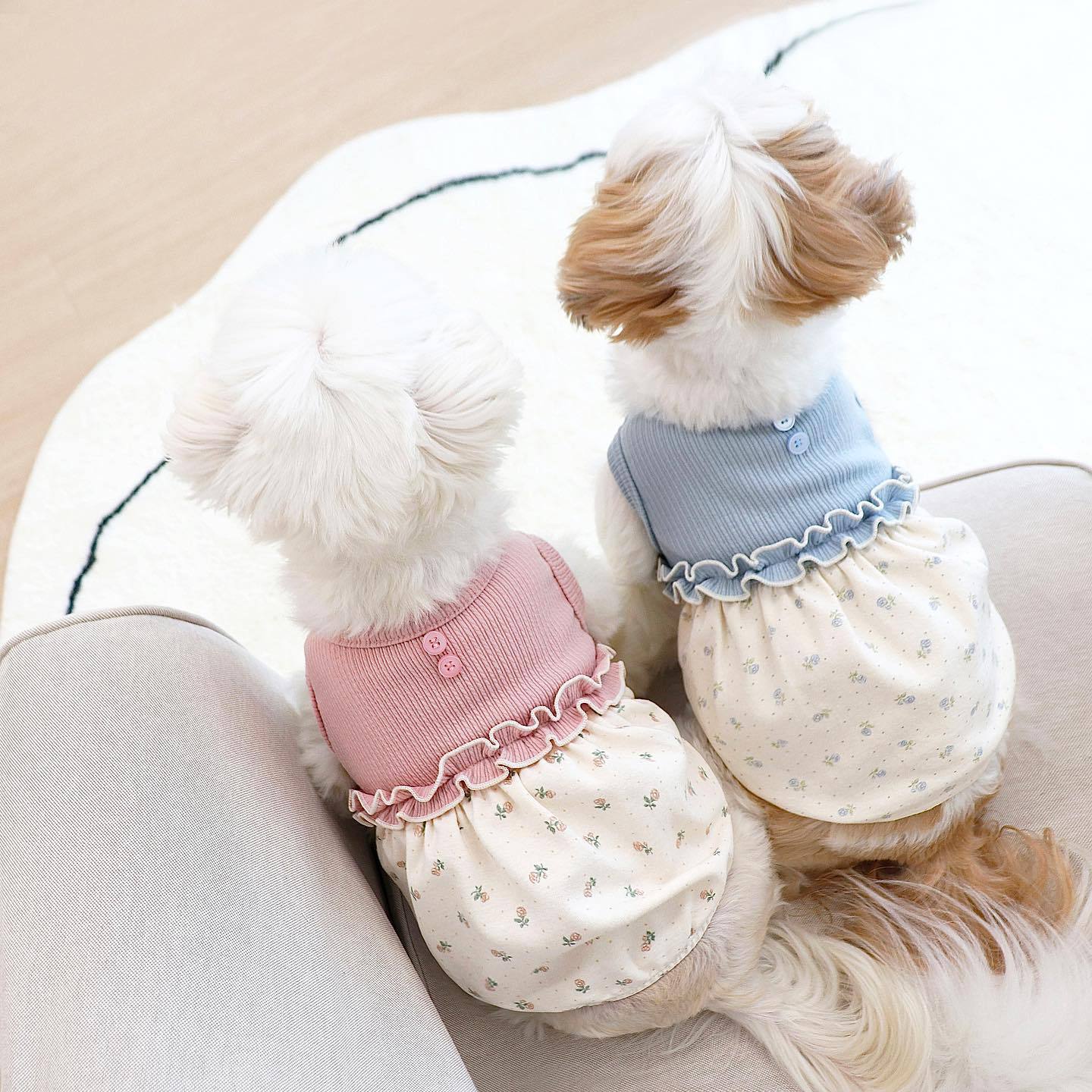 KFX-4156605 Floral Velvet Bubble Skirt Vest with Matching Scarf for Pets