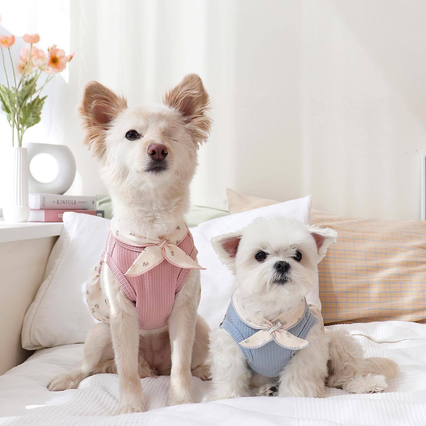 KFX-4156605 Floral Velvet Bubble Skirt Vest with Matching Scarf for Pets
