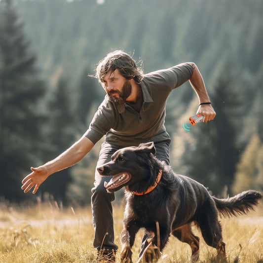 KFX-4162237 Three-Head Ultrasonic Dog Trainer - Adjustable Sensitivity, Durable ABS Material, Available in Gray/Orange or Black/Orange