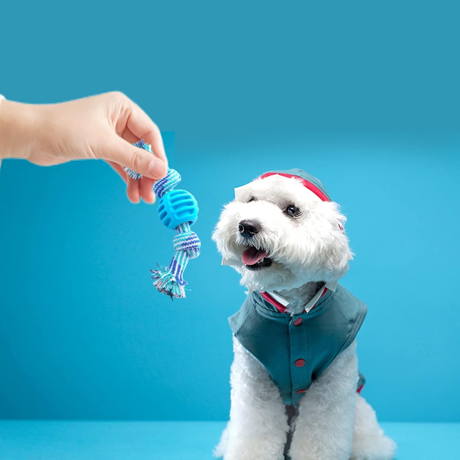 KFX-4164029 Durable Dog Chew Toy with Rope for Teeth Cleaning and Oral Health Protection - Blue