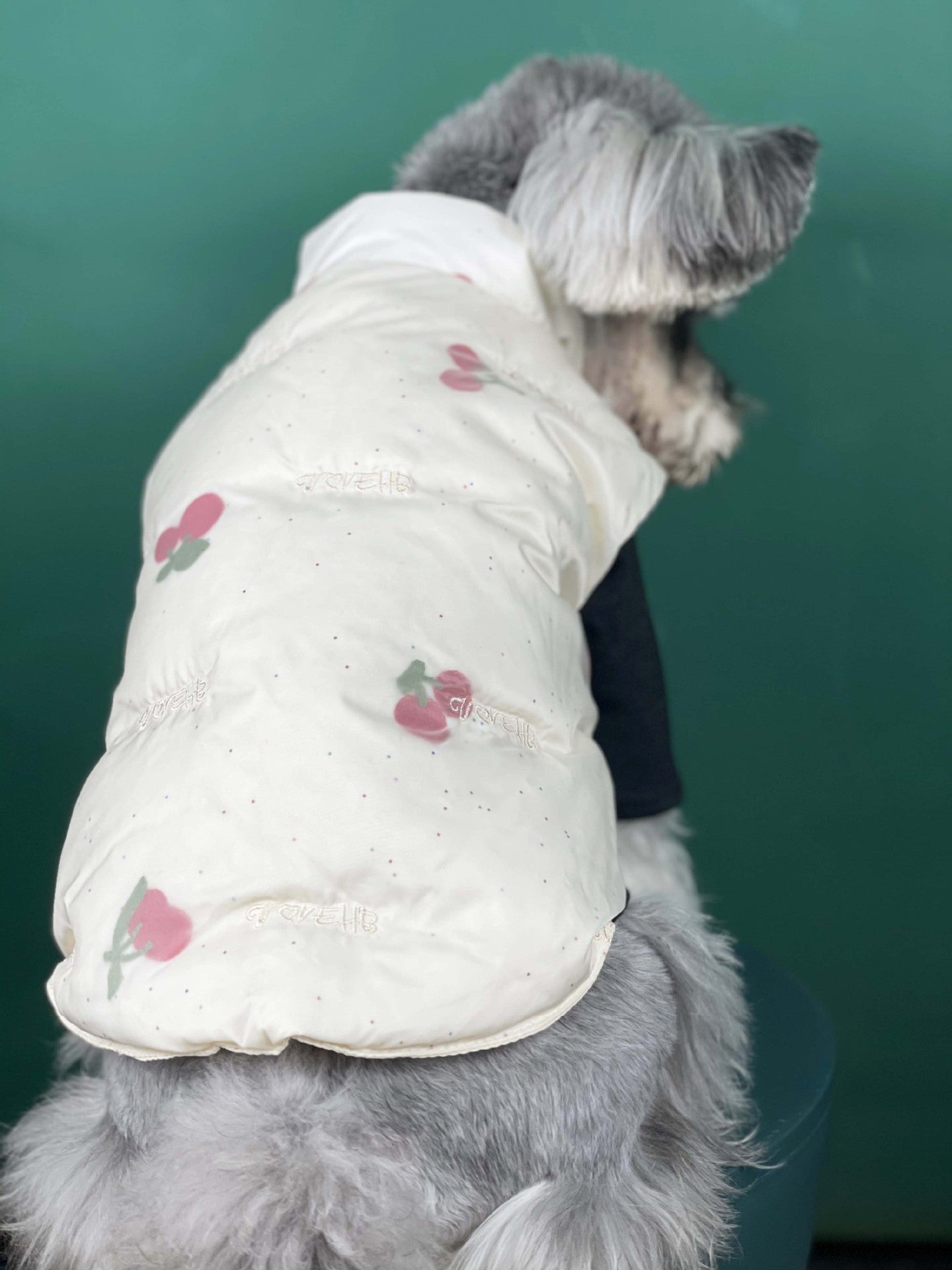 KFX-4167101 Warm Cherry Vest for Dogs - Polyester Fashion Dog Clothes for Autumn and Winter