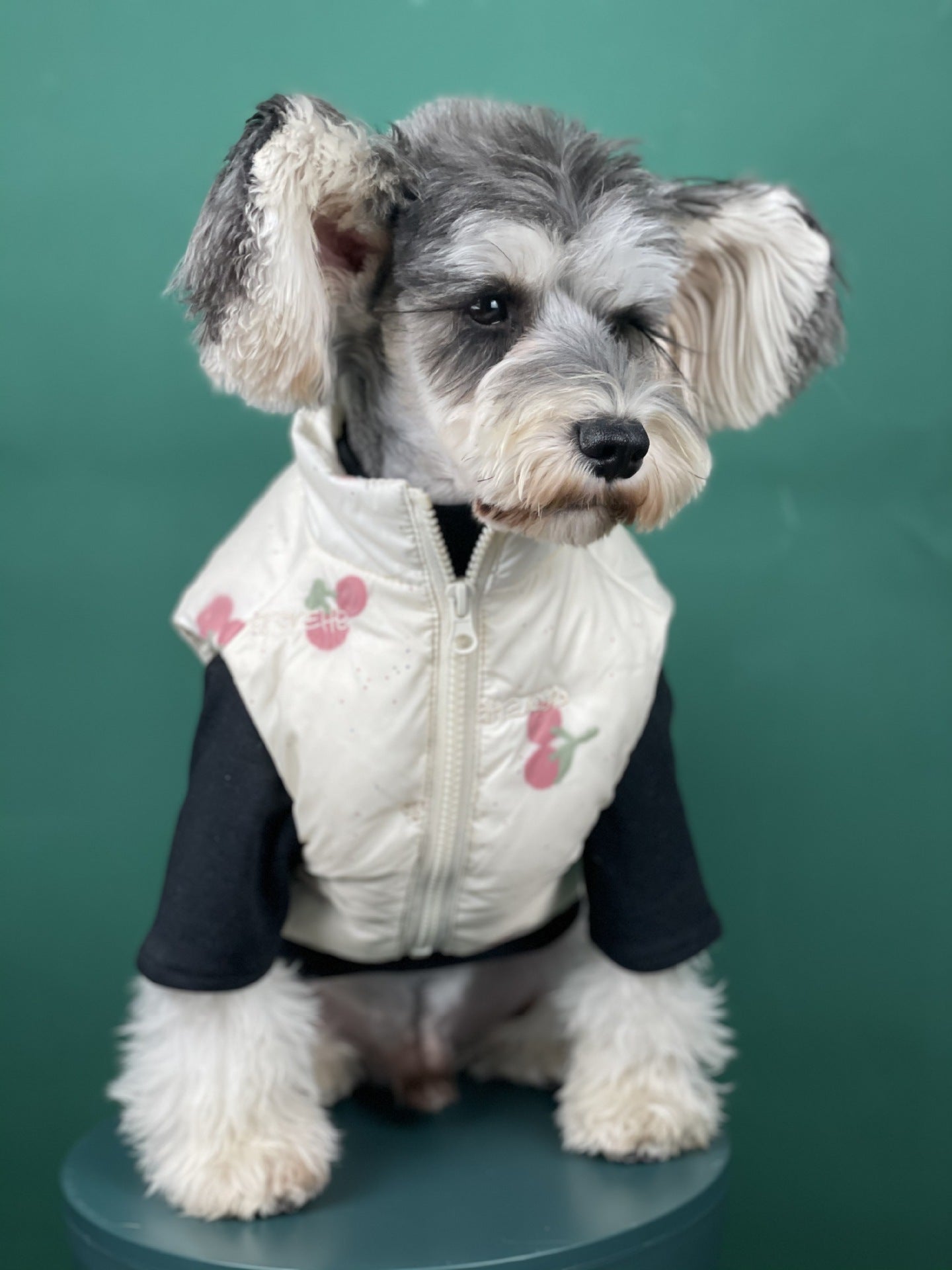 KFX-4167101 Warm Cherry Vest for Dogs - Polyester Fashion Dog Clothes for Autumn and Winter