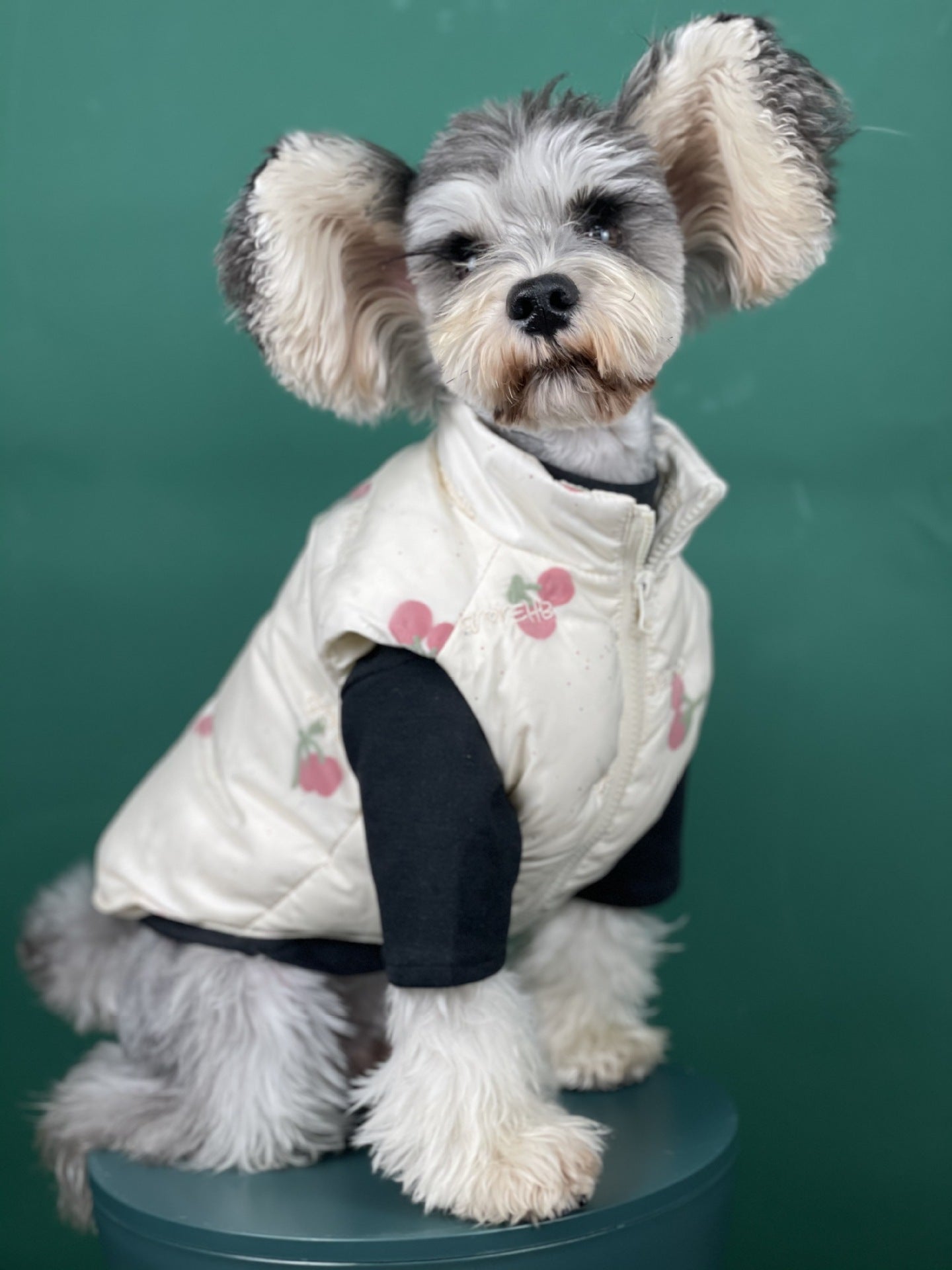 KFX-4167101 Warm Cherry Vest for Dogs - Polyester Fashion Dog Clothes for Autumn and Winter