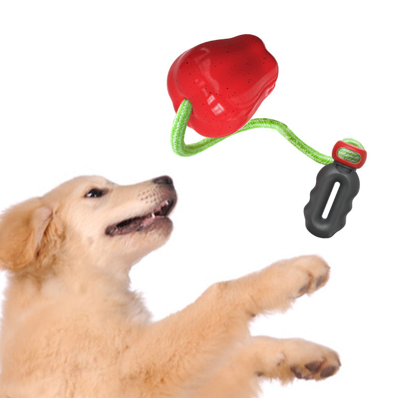 KFX-4170941 Apple Shaped Molar Dog Toy - Squeaky & Outdoor Versions in Green and Red