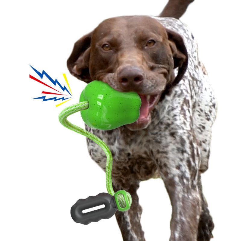 KFX-4170941 Apple Shaped Molar Dog Toy - Squeaky & Outdoor Versions in Green and Red