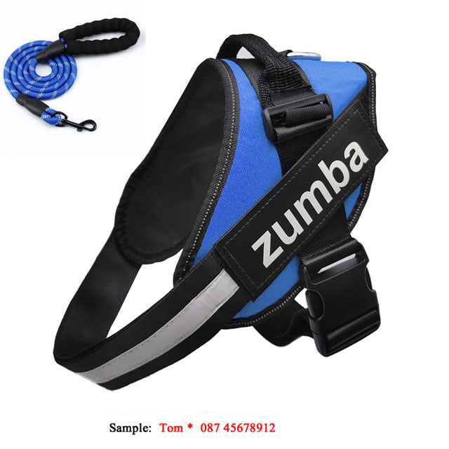 KFX-4174141 Personalized Reflective Adjustable Dog Harness and Leash Set, Breathable Nylon Design, Multiple Sizes Available