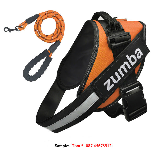 KFX-4174141 Personalized Reflective Adjustable Dog Harness and Leash Set, Breathable Nylon Design, Multiple Sizes Available