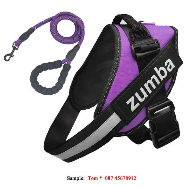 KFX-4174141 Personalized Reflective Adjustable Dog Harness and Leash Set, Breathable Nylon Design, Multiple Sizes Available