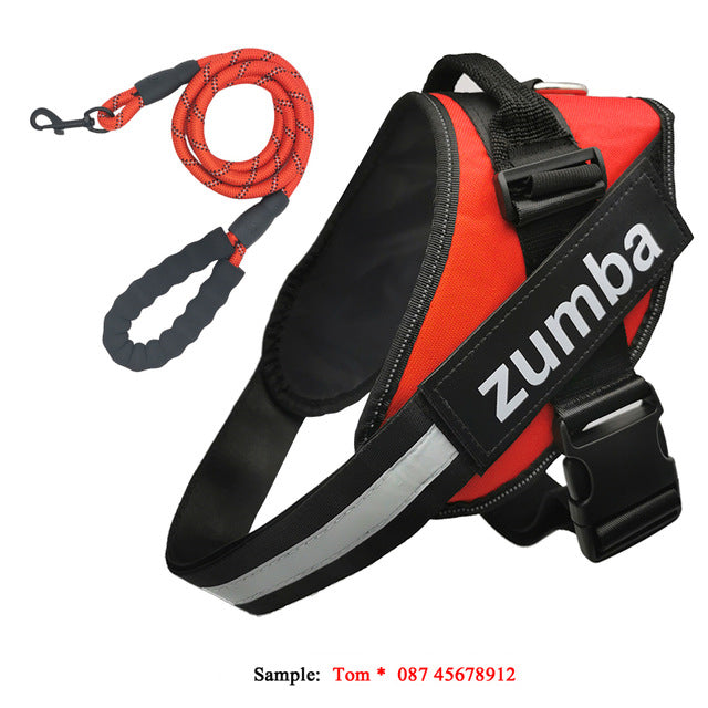 KFX-4174141 Personalized Reflective Adjustable Dog Harness and Leash Set, Breathable Nylon Design, Multiple Sizes Available
