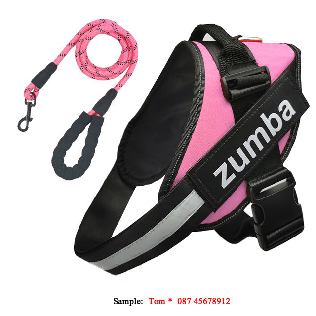 KFX-4174141 Personalized Reflective Adjustable Dog Harness and Leash Set, Breathable Nylon Design, Multiple Sizes Available