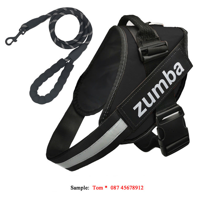 KFX-4174141 Personalized Reflective Adjustable Dog Harness and Leash Set, Breathable Nylon Design, Multiple Sizes Available