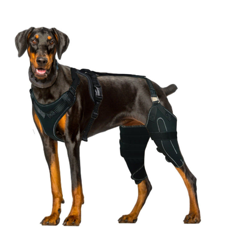 KFX-4177853 Adjustable Dog Thigh Protective Sleeve with Metal Support for Postoperative Care - Black