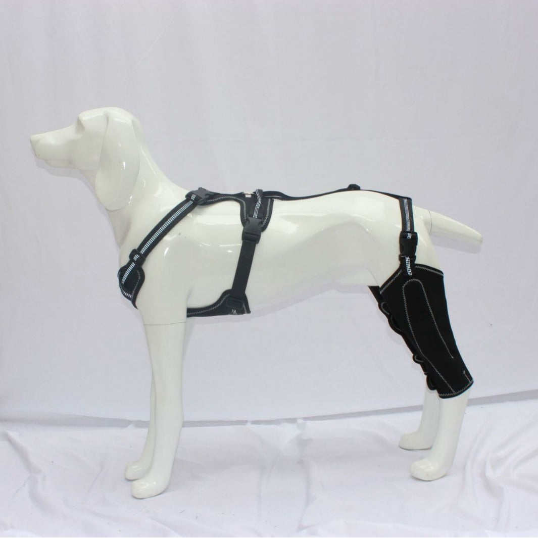 KFX-4177853 Adjustable Dog Thigh Protective Sleeve with Metal Support for Postoperative Care - Black