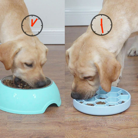 KFX-4178237 Silicone Honeycomb Anti-Choke Eating Bowl - Dishwasher Safe, Temperature Resistant