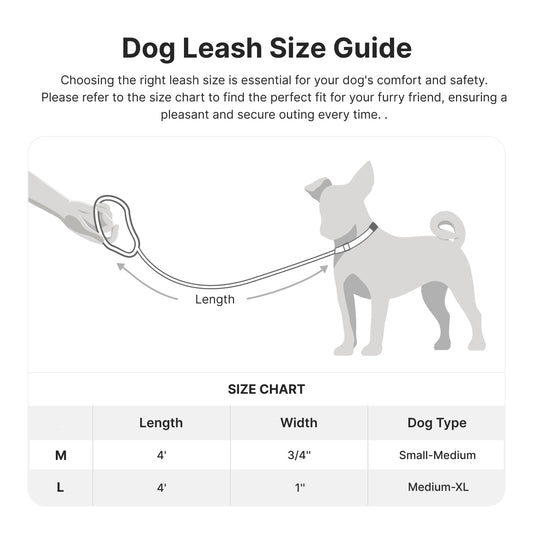 KFX-4179517 Adjustable Neoprene Padded Handle 4 FT Dog Leash for Stylish Daily Walks